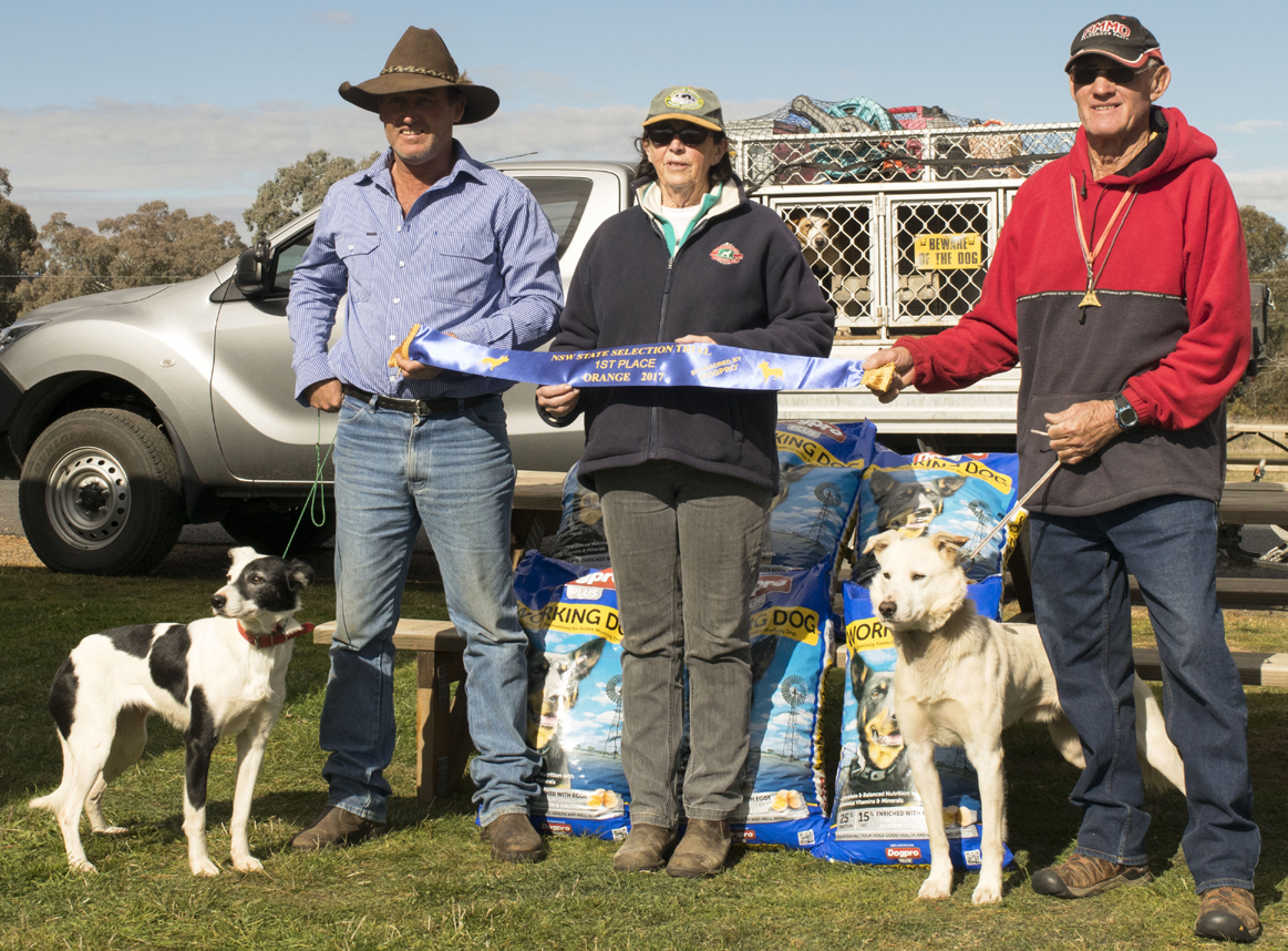 Working dog championships at Seymour The Local Paper